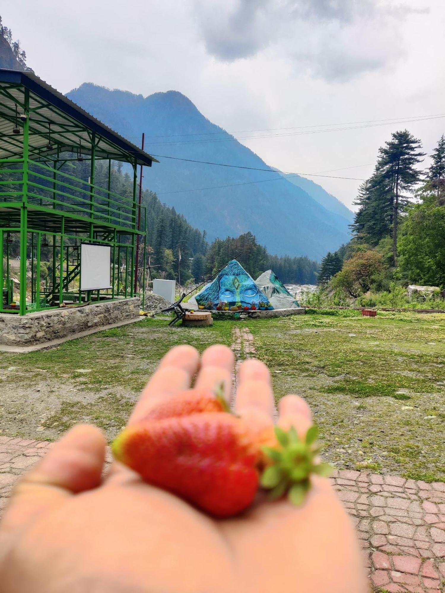 Flipsyde Retreat Hotel Kasol Exterior photo
