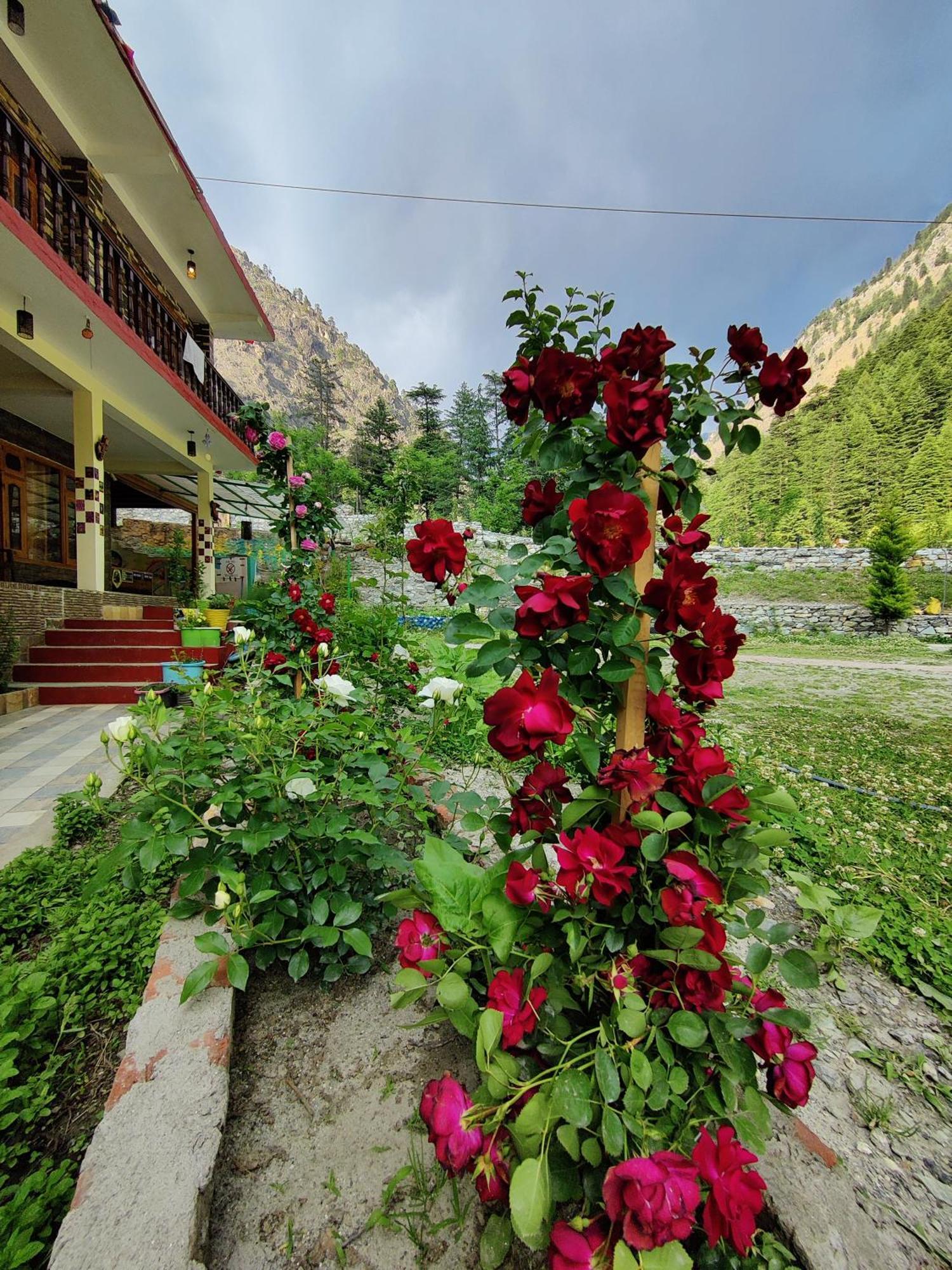 Flipsyde Retreat Hotel Kasol Exterior photo