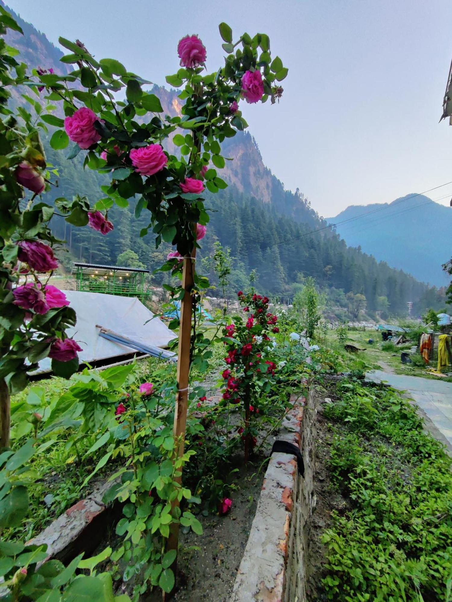 Flipsyde Retreat Hotel Kasol Exterior photo